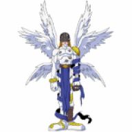 Nelsolino