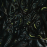 THE_TWISTING_CHAOS