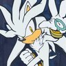 Thebestsilver