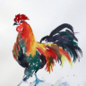 Pollos1