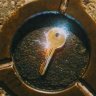 The_Boy_Who_Holds_The_Key