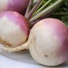 BurnItTurnip