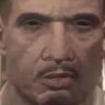 JaxWolf4