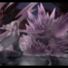 Gray_The_Demon_Slayer