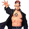 Xinsignia1