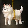 CanineAnnoyer