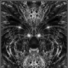 PariahParadox