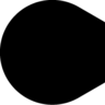 PairusDragonoid