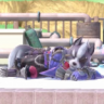 Puttputt0