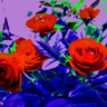 ThePsychedelicRose