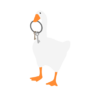 Dio_the_Ludicolo