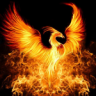 Phoenix4047