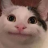 Heydude12