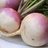 BurnItTurnip