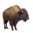Buffalo_76