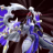 DORUgoramon