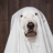 Ghost090